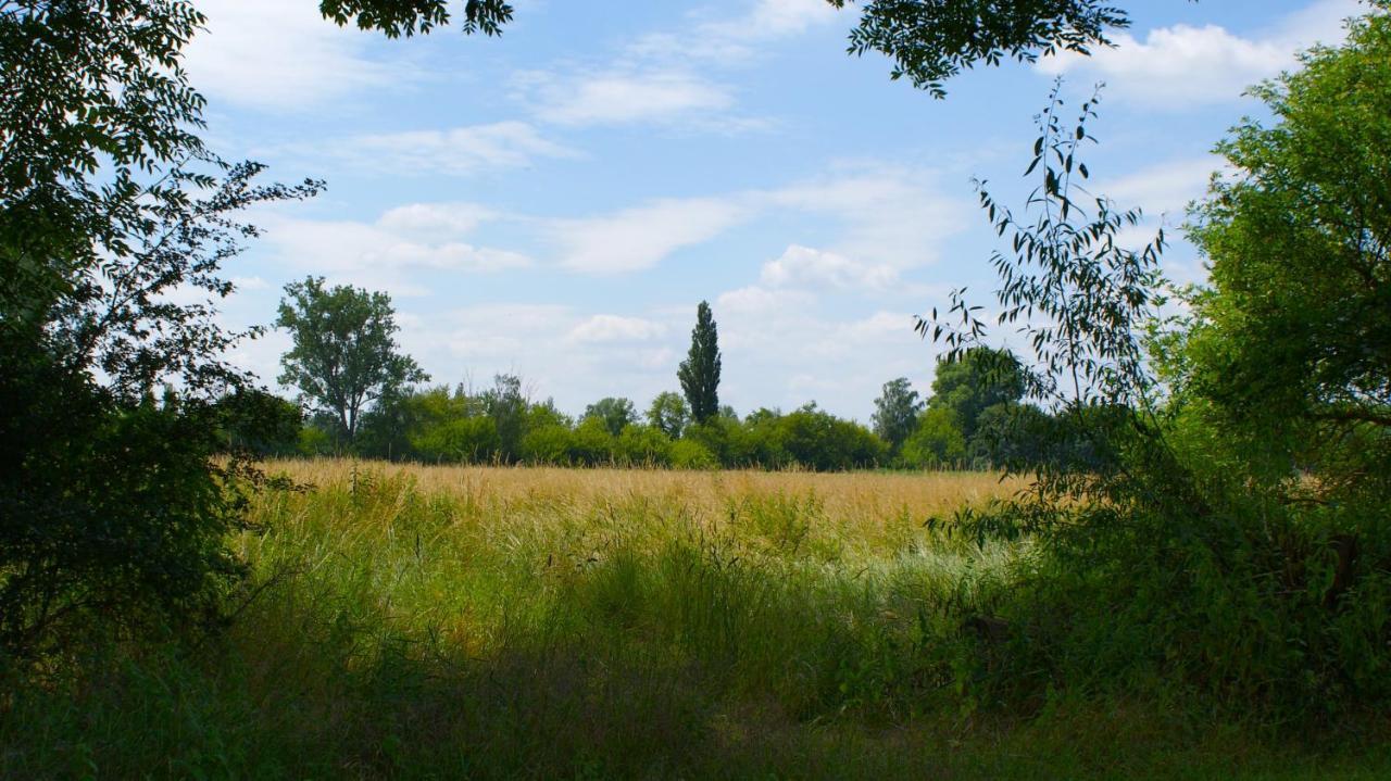 Ferienwohnung Fuchsberge Letschin Экстерьер фото