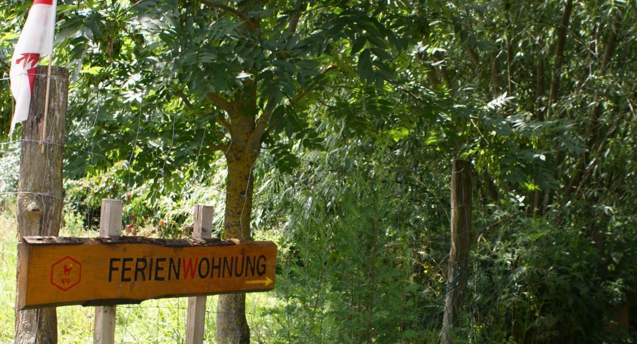 Ferienwohnung Fuchsberge Letschin Экстерьер фото